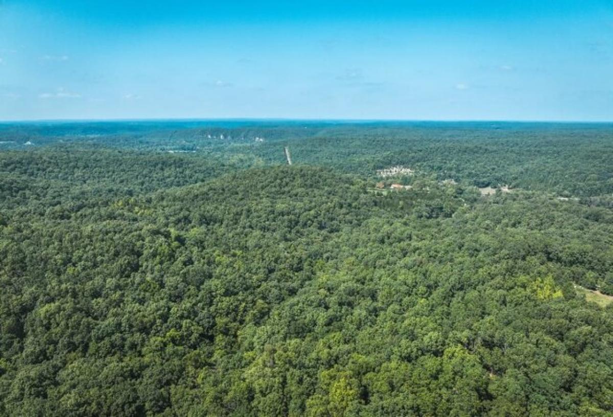 Picture of Residential Land For Sale in Waynesville, Missouri, United States