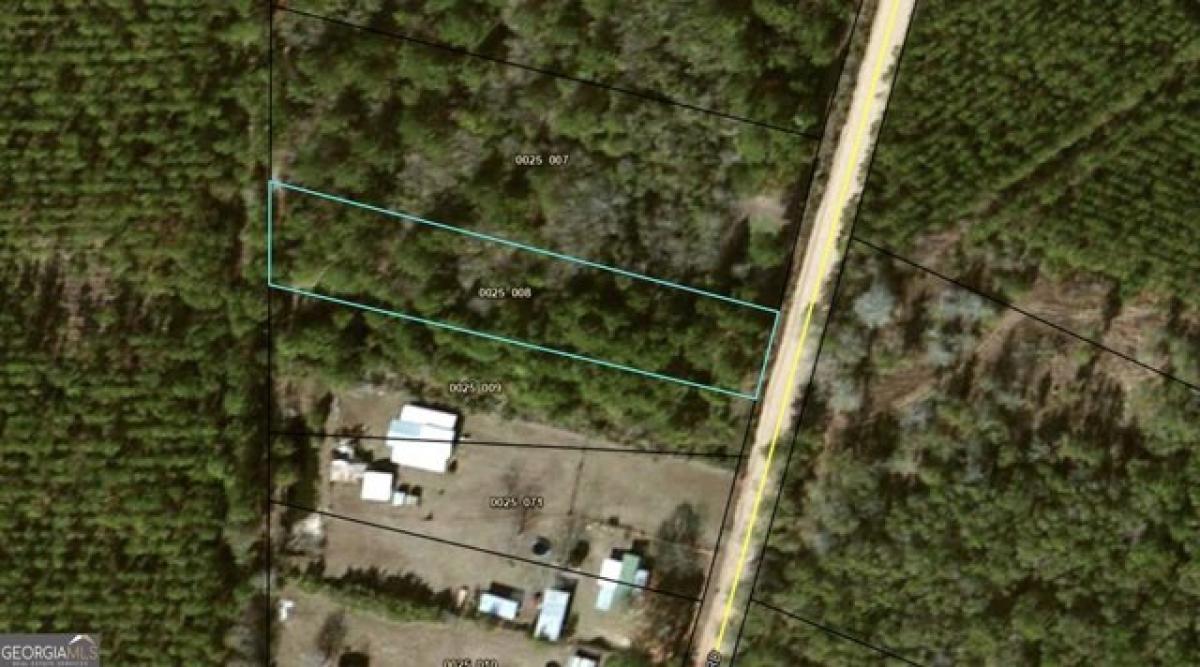 Picture of Residential Land For Sale in Adel, Georgia, United States