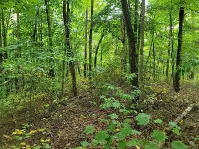 Residential Land For Sale in Andrews, North Carolina