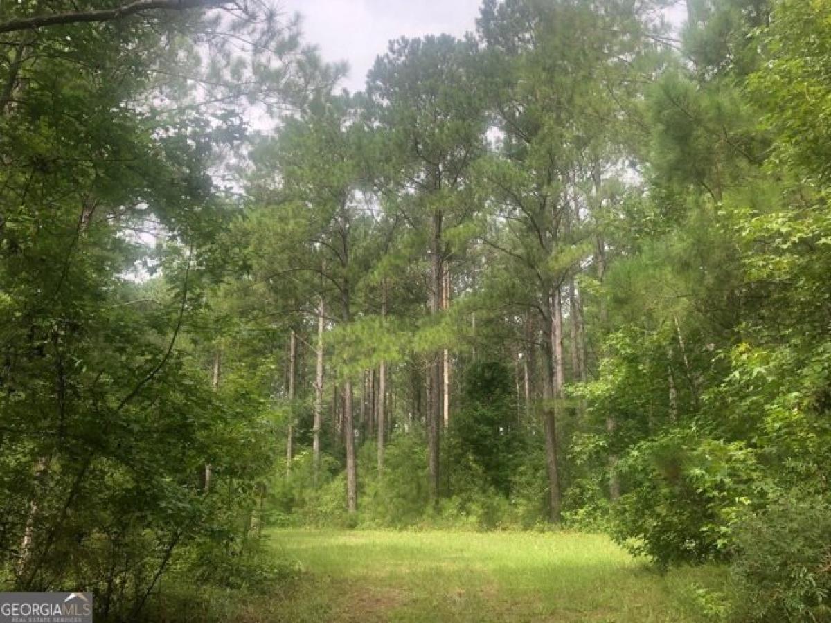 Picture of Residential Land For Sale in Edison, Georgia, United States