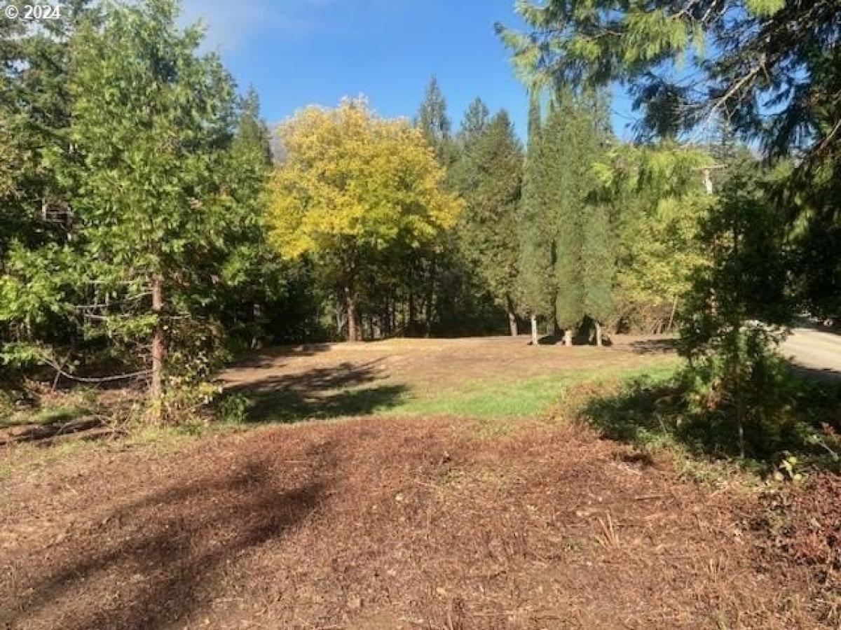 Picture of Residential Land For Sale in Glide, Oregon, United States