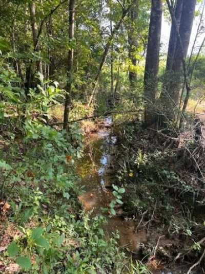 Residential Land For Sale in Elba, Alabama