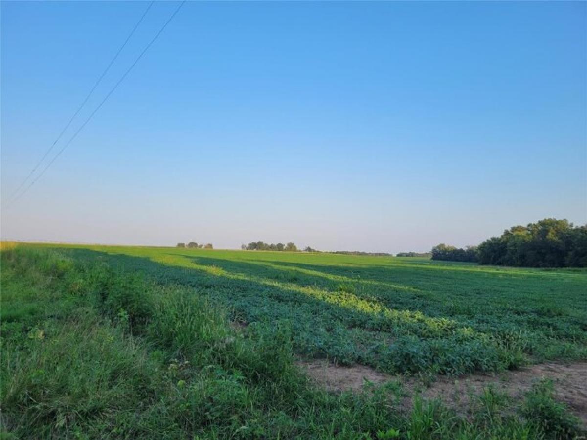 Picture of Residential Land For Sale in Bellflower, Missouri, United States