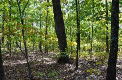 Residential Land For Sale in Saint Mary, Missouri