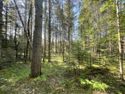 Residential Land For Sale in Drummond Island, Michigan