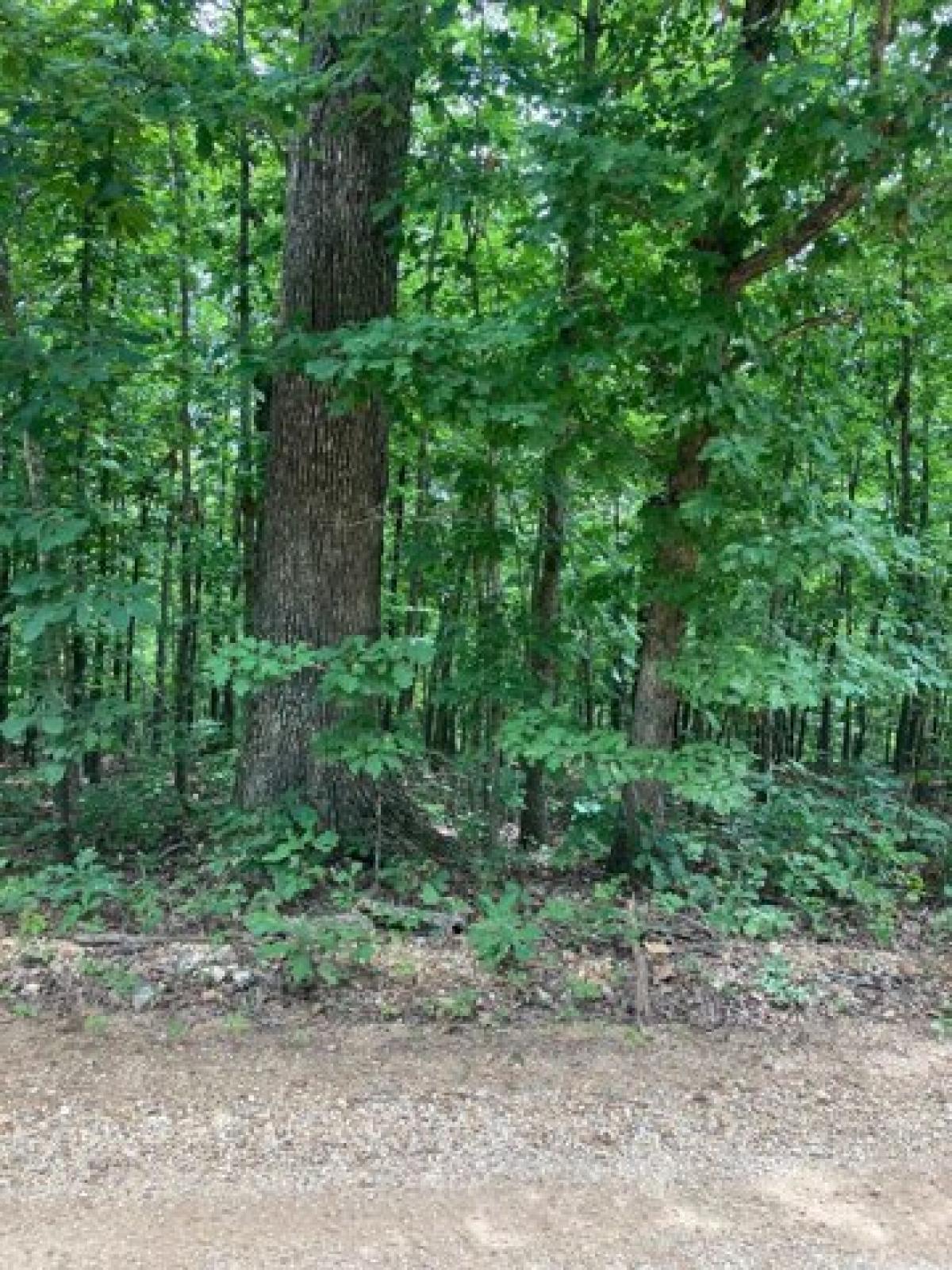 Picture of Residential Land For Sale in Hardy, Arkansas, United States