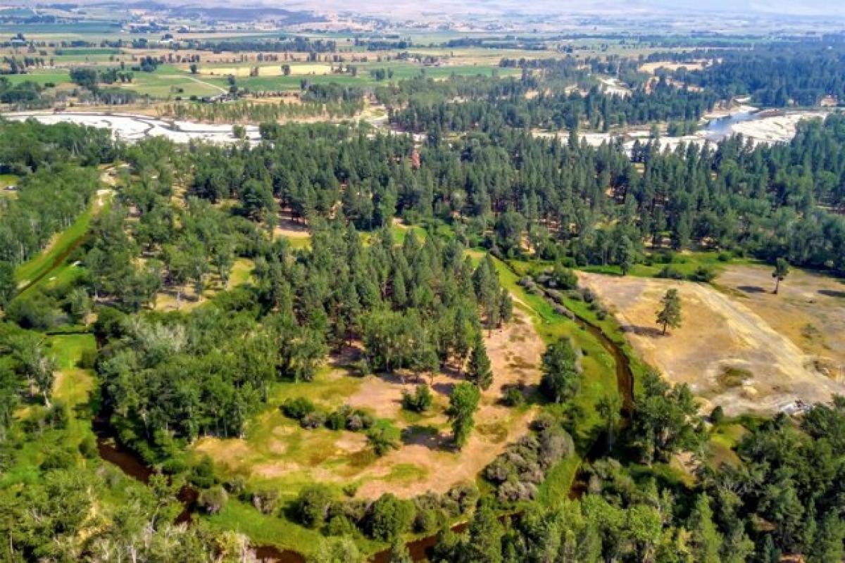 Picture of Residential Land For Sale in Victor, Montana, United States