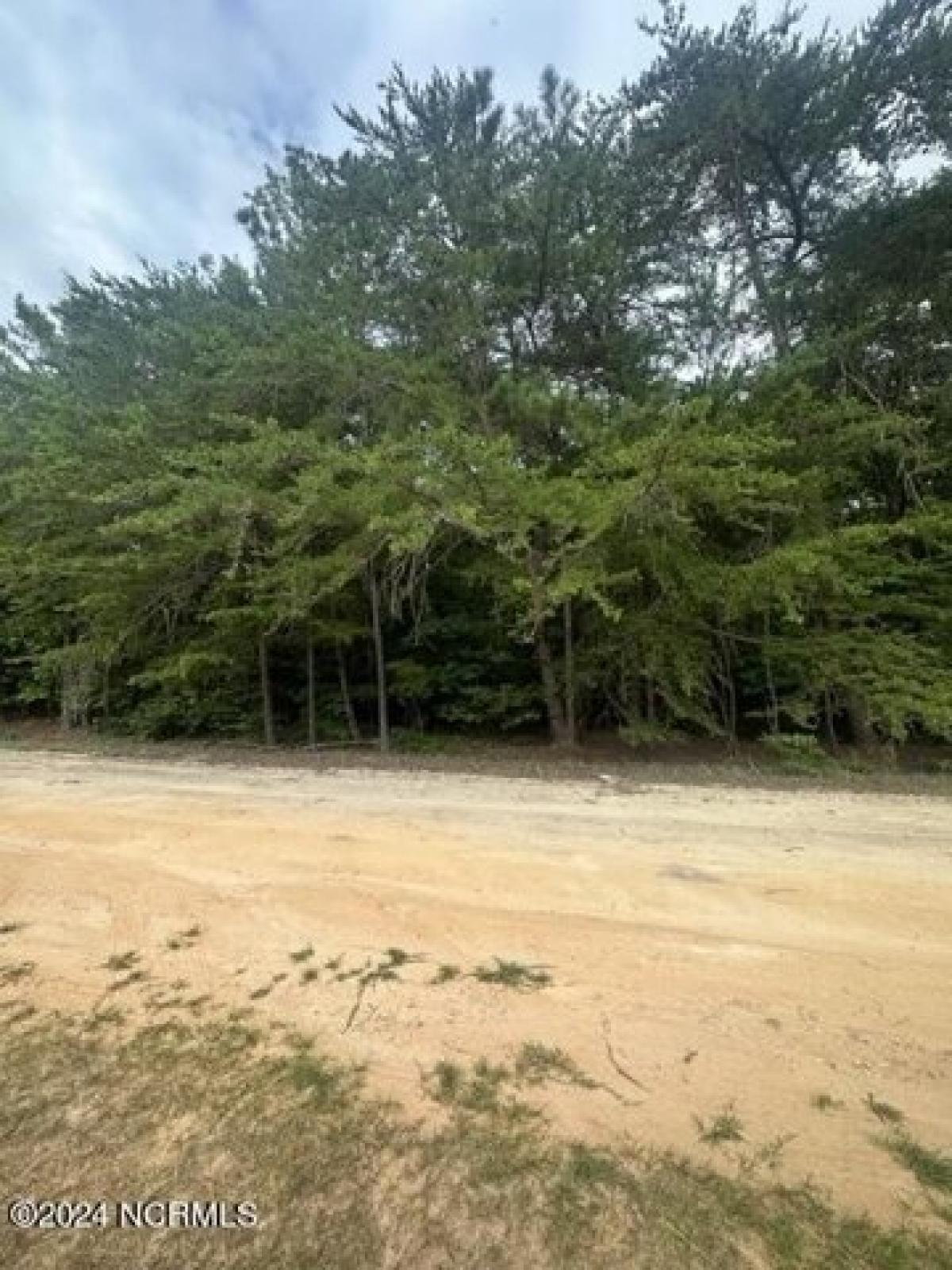 Picture of Residential Land For Sale in Carthage, North Carolina, United States