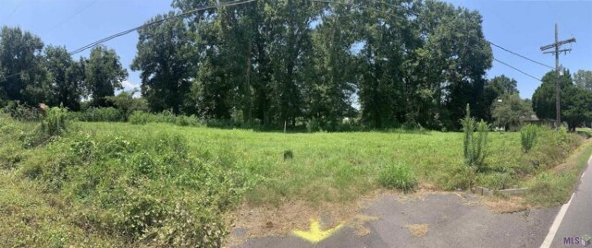 Picture of Residential Land For Sale in Belle Rose, Louisiana, United States