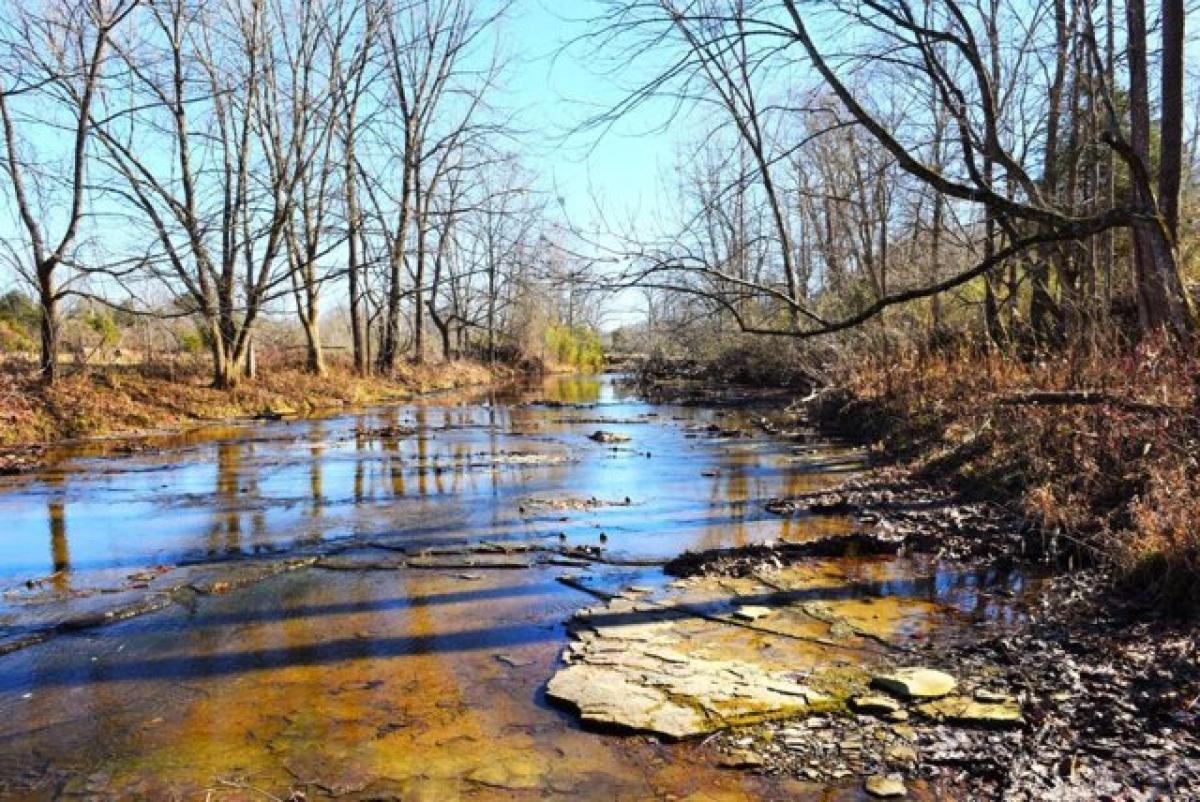 Picture of Residential Land For Sale in Edmonton, Kentucky, United States