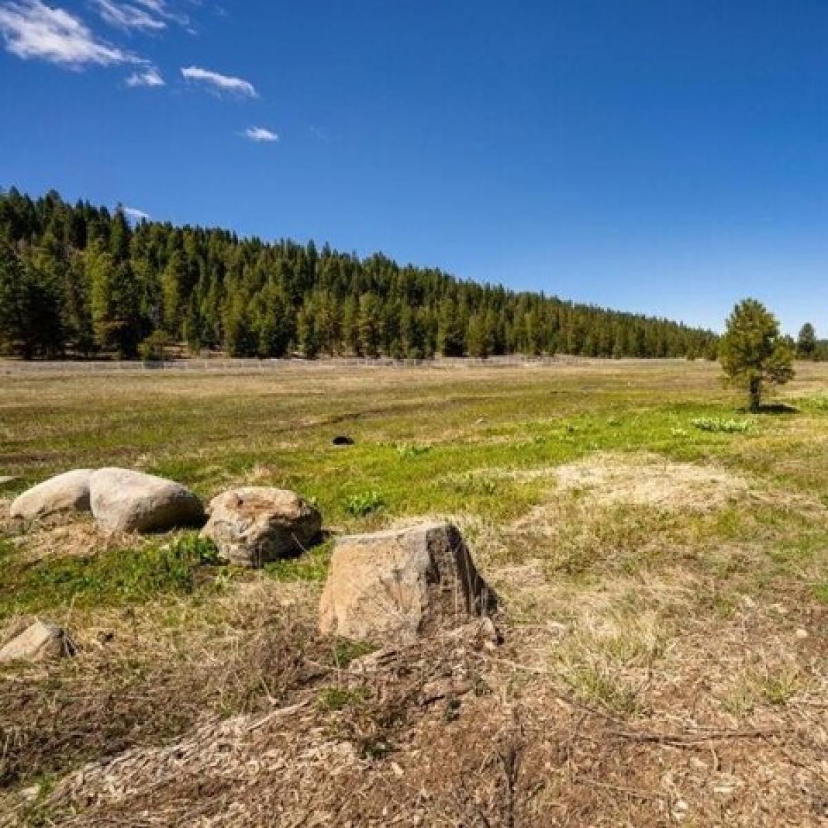 Picture of Residential Land For Sale in McCall, Idaho, United States