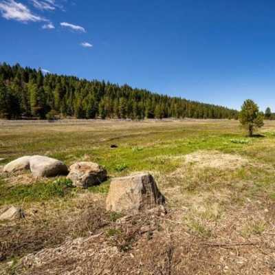 Residential Land For Sale in McCall, Idaho