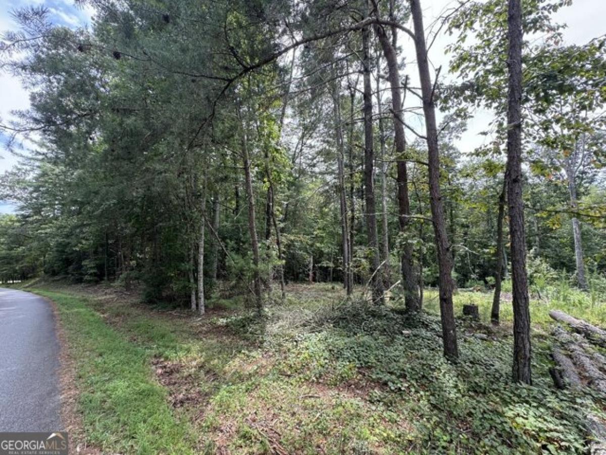 Picture of Residential Land For Sale in Demorest, Georgia, United States