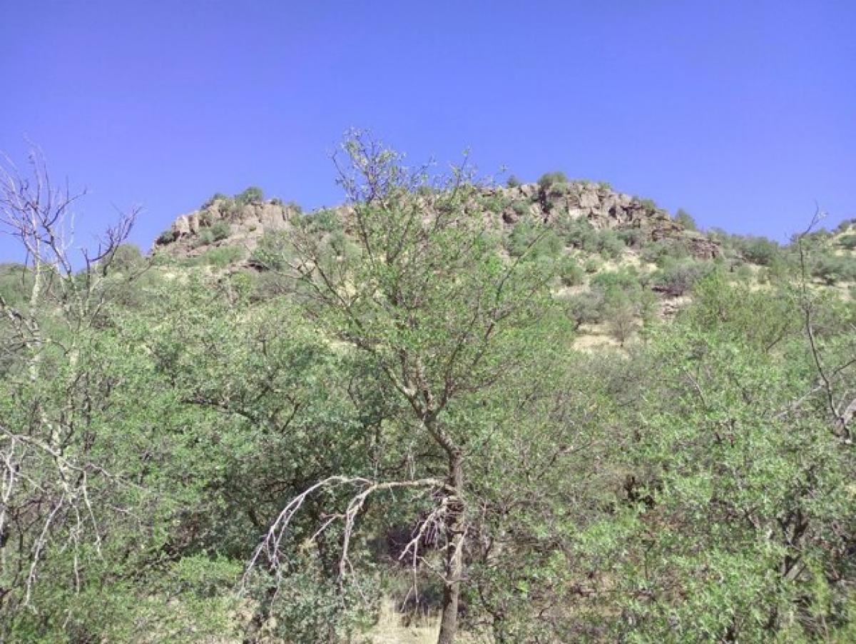 Picture of Residential Land For Sale in Fort Davis, Texas, United States