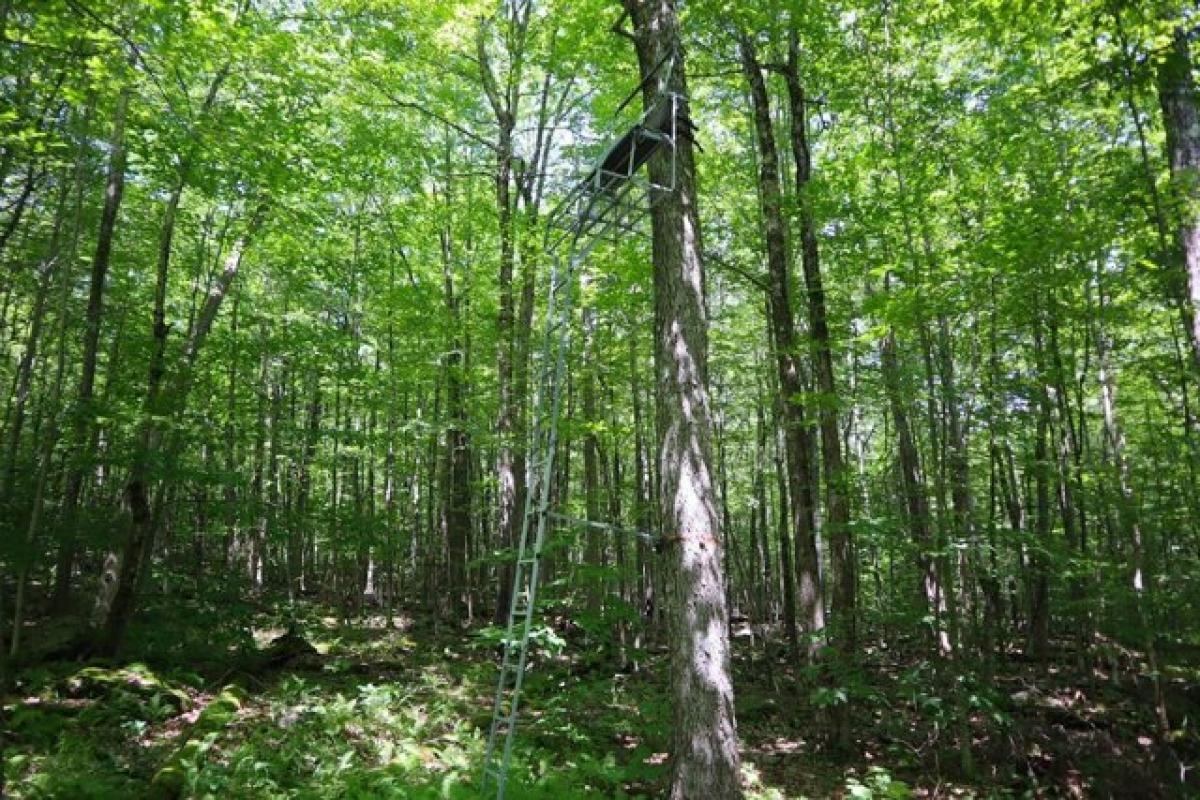 Picture of Residential Land For Sale in East Nassau, New York, United States