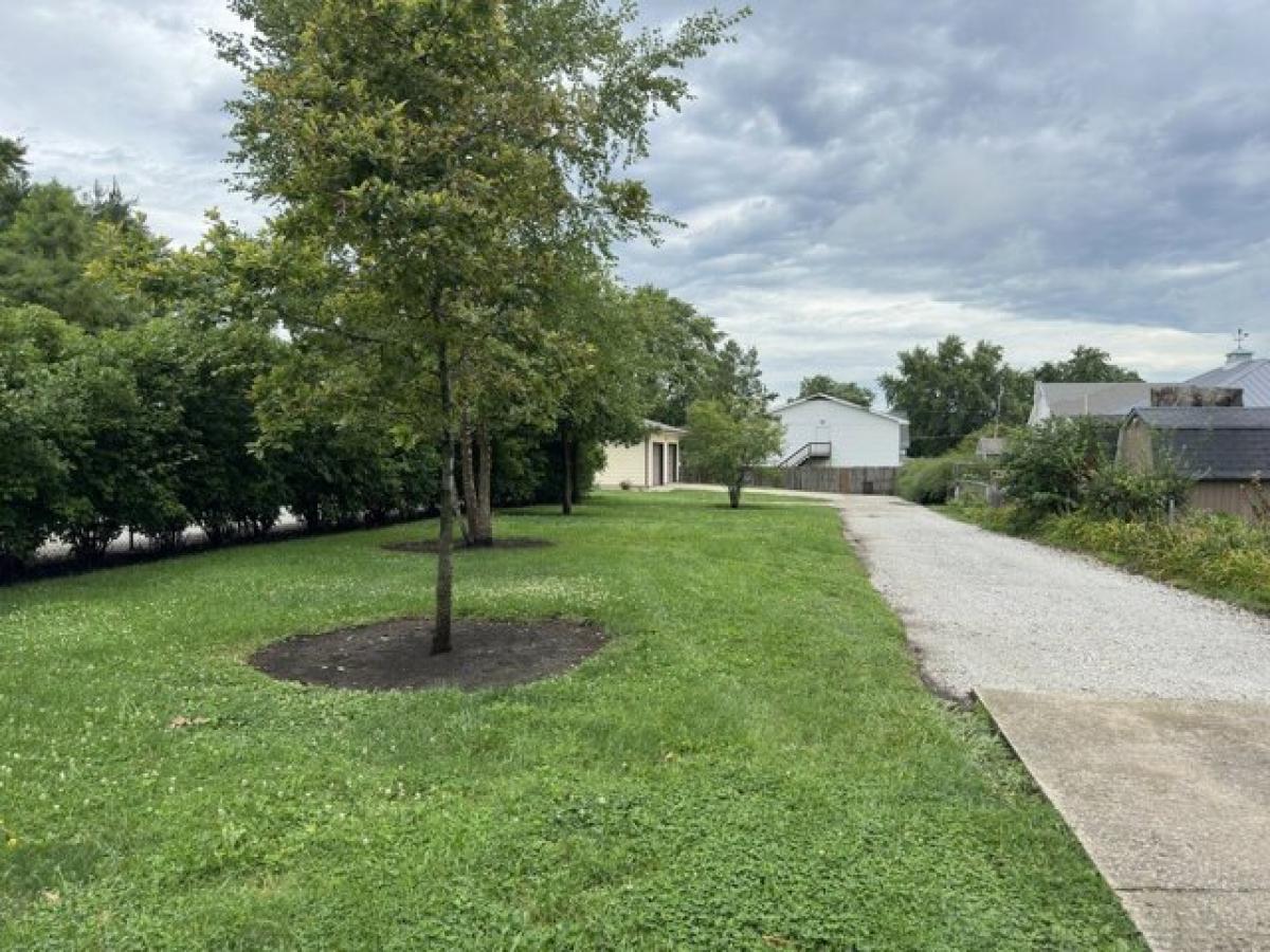 Picture of Home For Sale in Farmer City, Illinois, United States