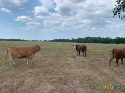 Residential Land For Sale in Yoakum, Texas