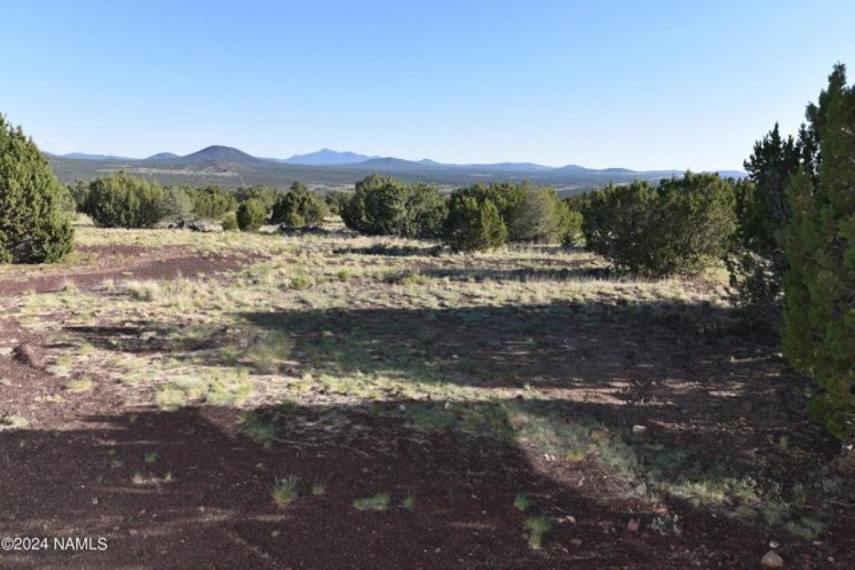 Picture of Home For Sale in Williams, Arizona, United States