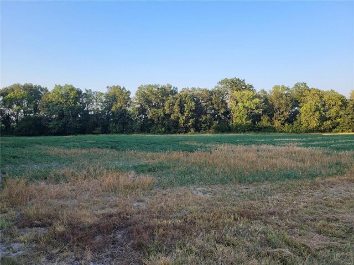 Picture of Residential Land For Sale in Bellflower, Missouri, United States