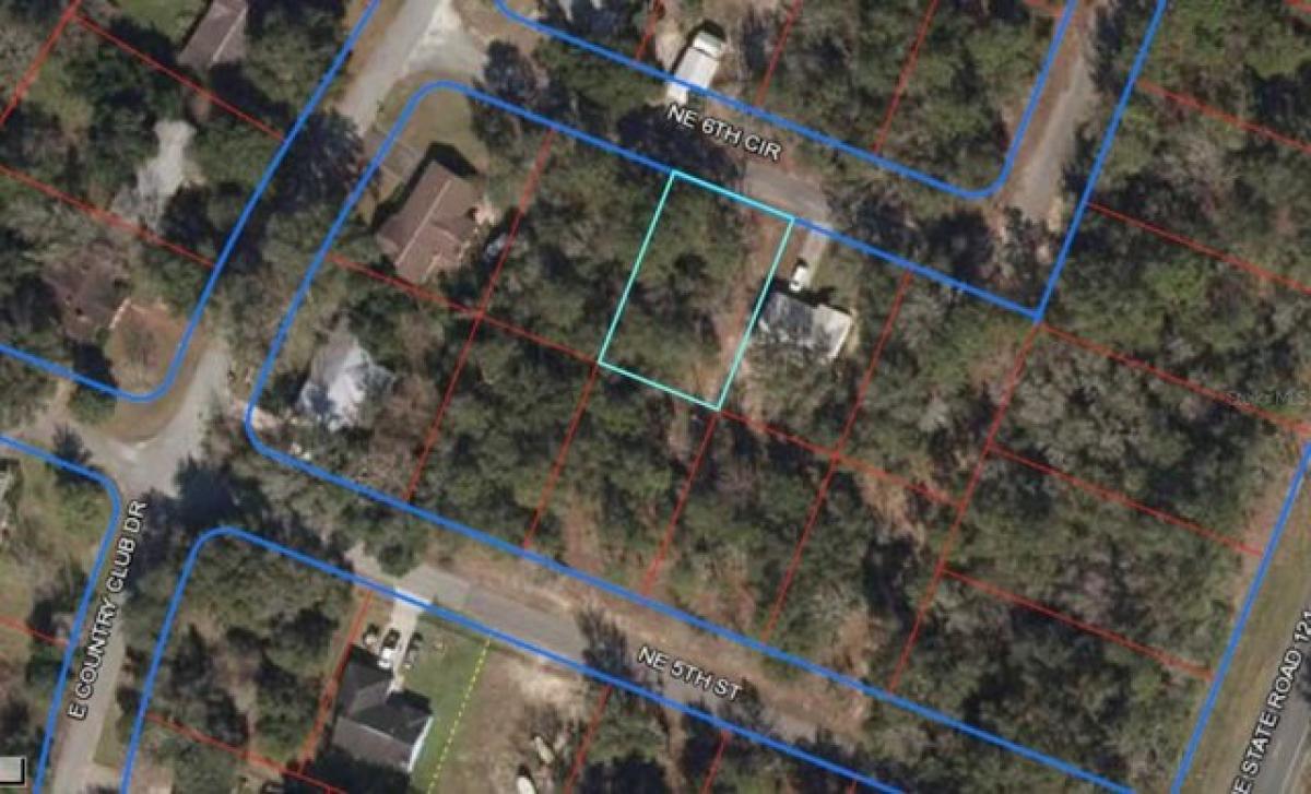 Picture of Residential Land For Sale in Williston, Florida, United States