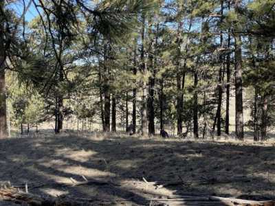 Residential Land For Sale in Elizabeth, Colorado