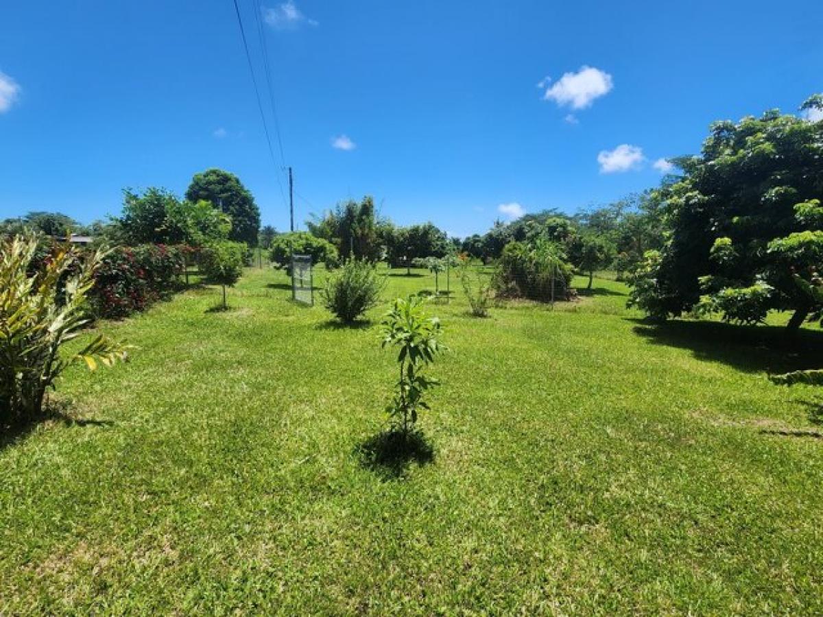 Picture of Home For Sale in Pahoa, Hawaii, United States