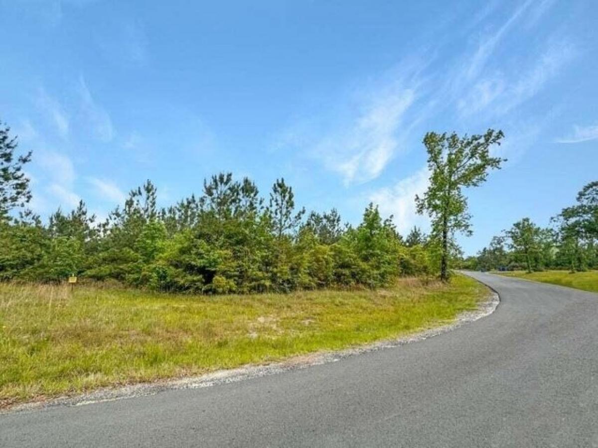 Picture of Residential Land For Sale in Anacoco, Louisiana, United States