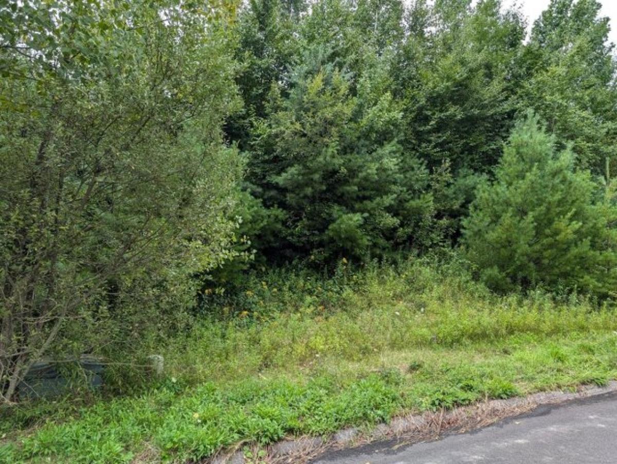 Picture of Residential Land For Sale in Torrington, Connecticut, United States