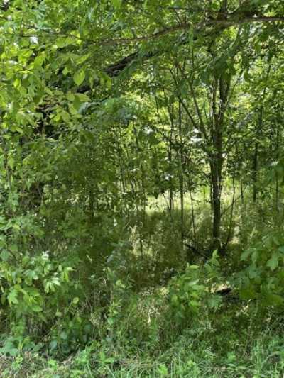 Residential Land For Sale in Cedar Hill, Tennessee