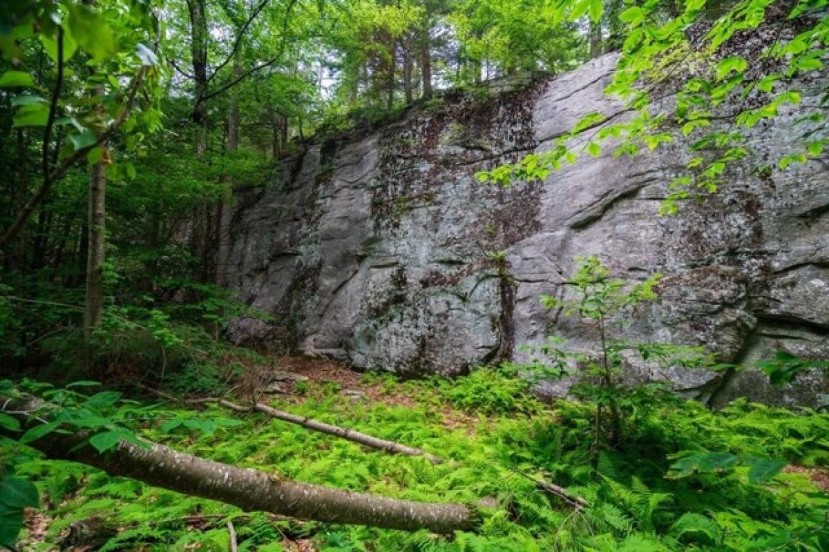 Picture of Residential Land For Sale in Wendell, Massachusetts, United States