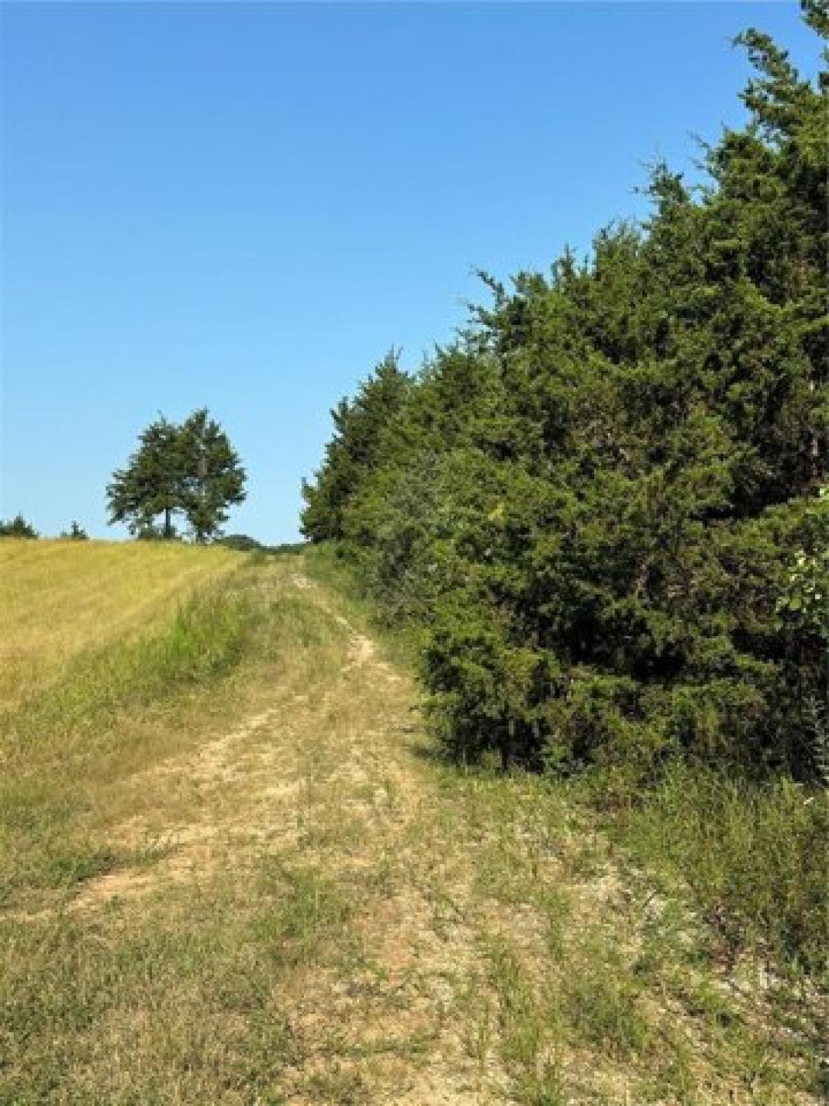 Picture of Residential Land For Sale in Monroe City, Missouri, United States