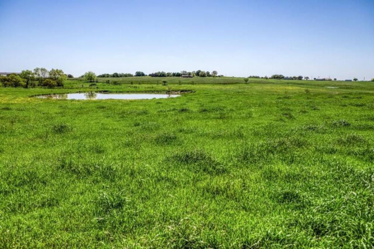 Picture of Residential Land For Sale in Brenham, Texas, United States