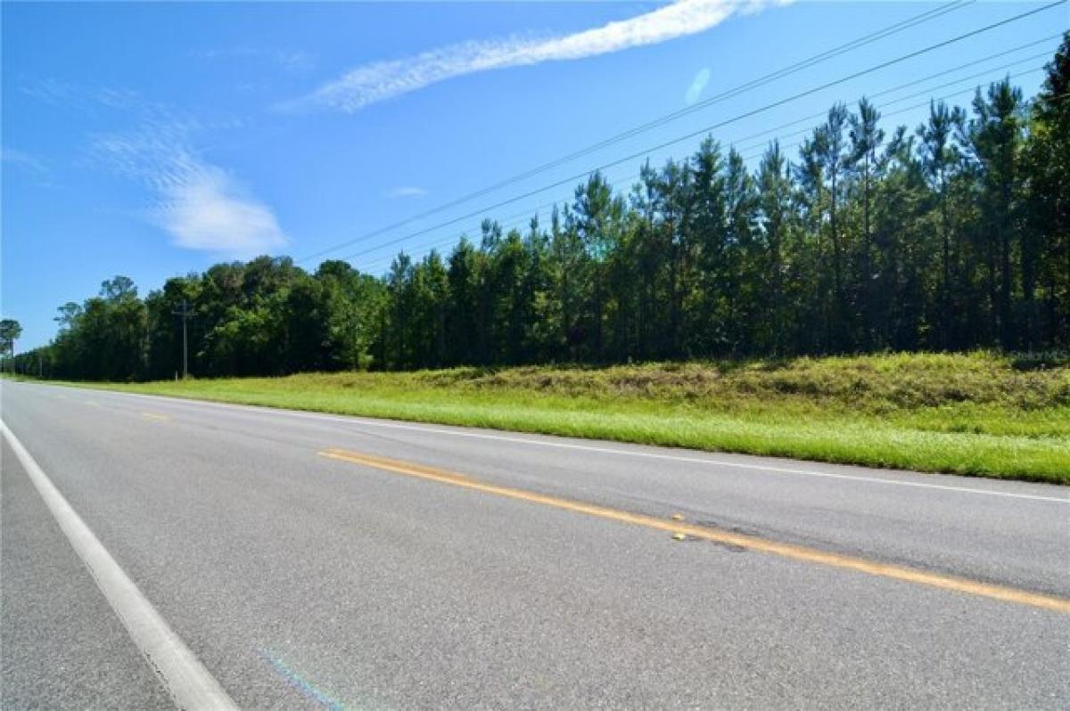 Picture of Residential Land For Sale in Greenville, Florida, United States