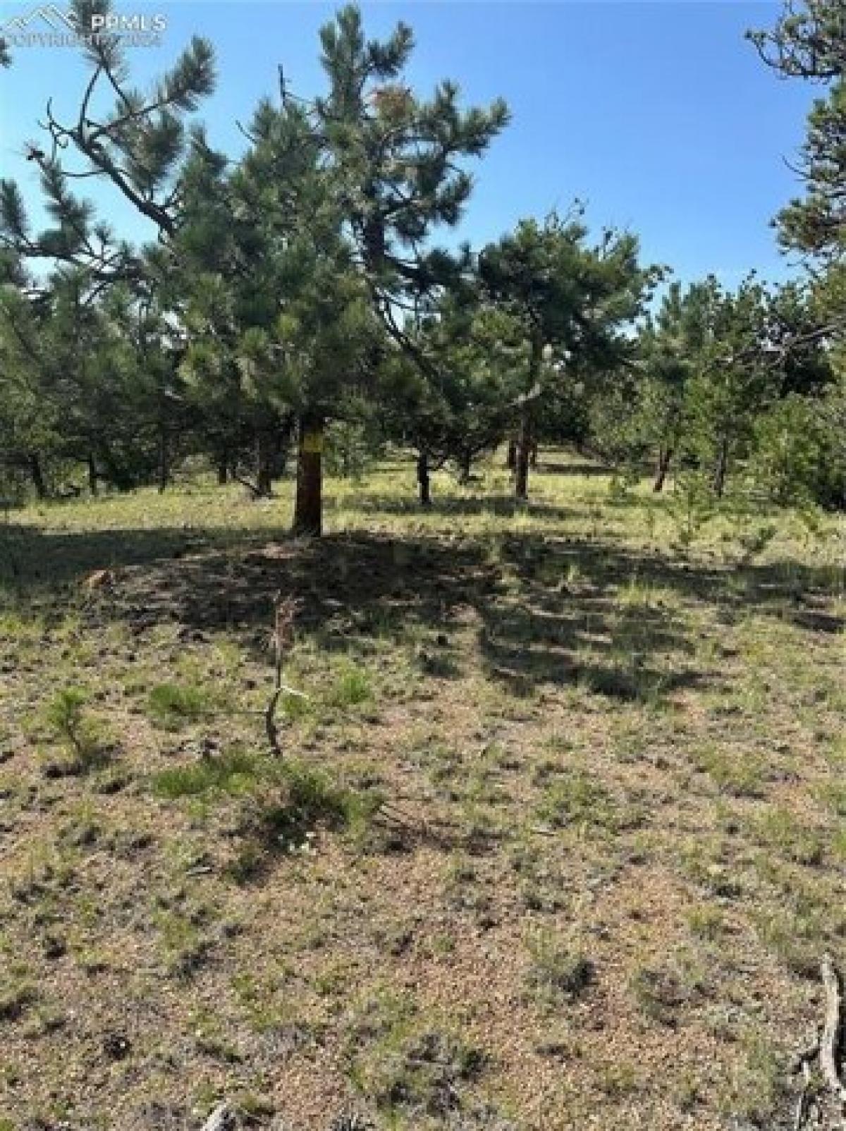 Picture of Residential Land For Sale in Florissant, Colorado, United States