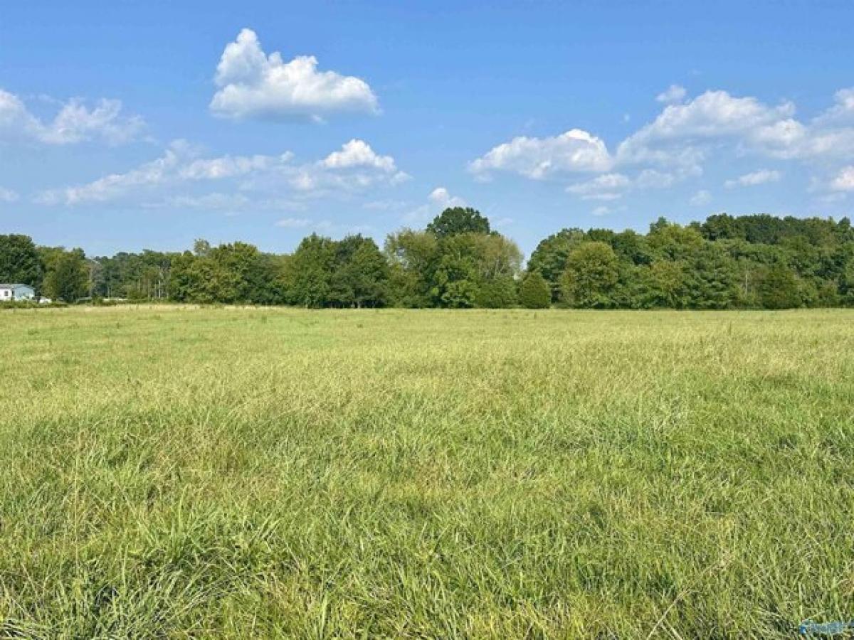 Picture of Residential Land For Sale in Anderson, Alabama, United States