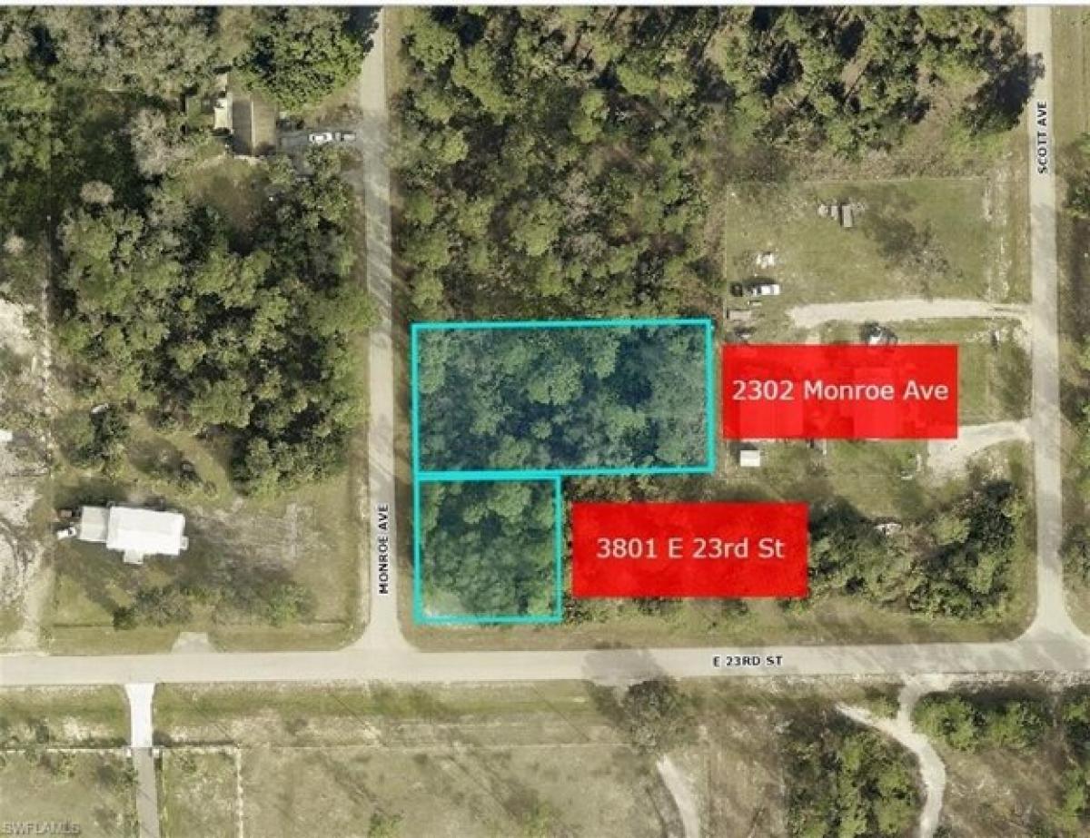 Picture of Residential Land For Sale in Alva, Florida, United States