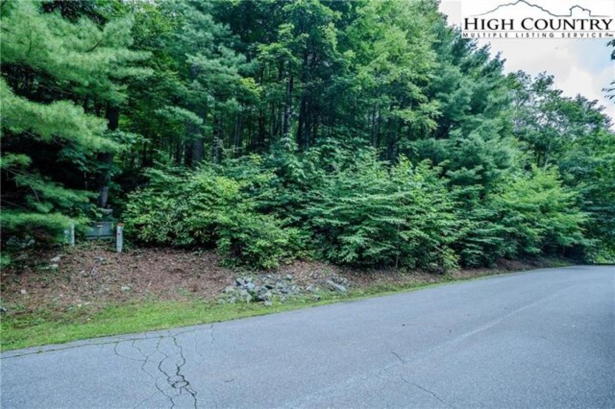 Picture of Residential Land For Sale in Linville, North Carolina, United States