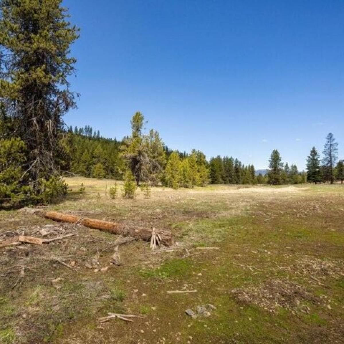 Picture of Residential Land For Sale in McCall, Idaho, United States