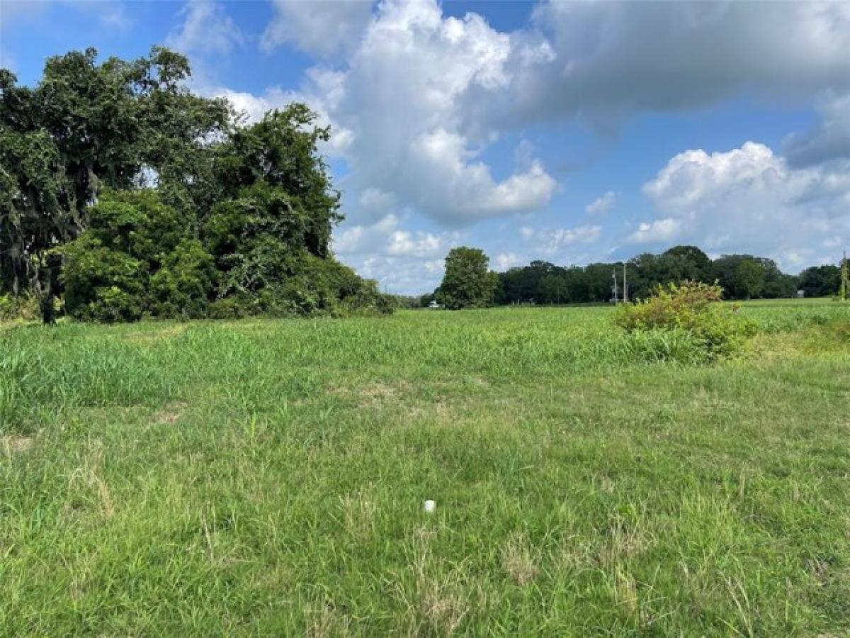 Picture of Residential Land For Sale in Angleton, Texas, United States