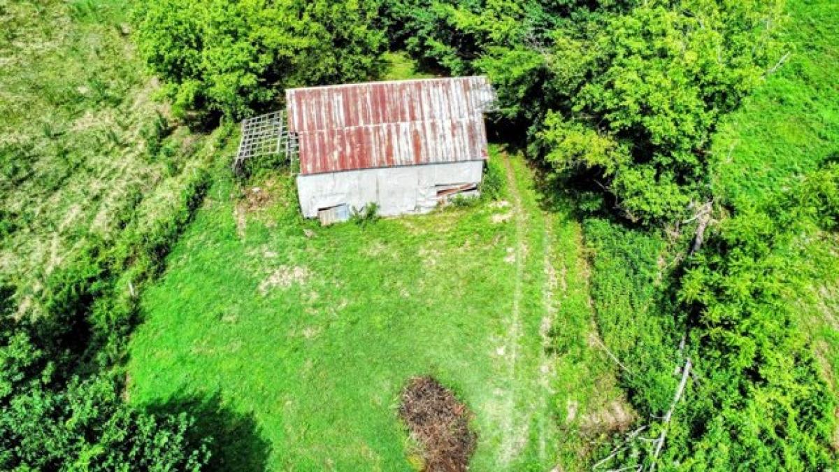 Picture of Residential Land For Sale in Pulaski, Tennessee, United States