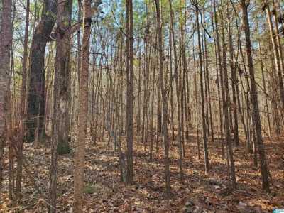 Residential Land For Sale in Ashville, Alabama