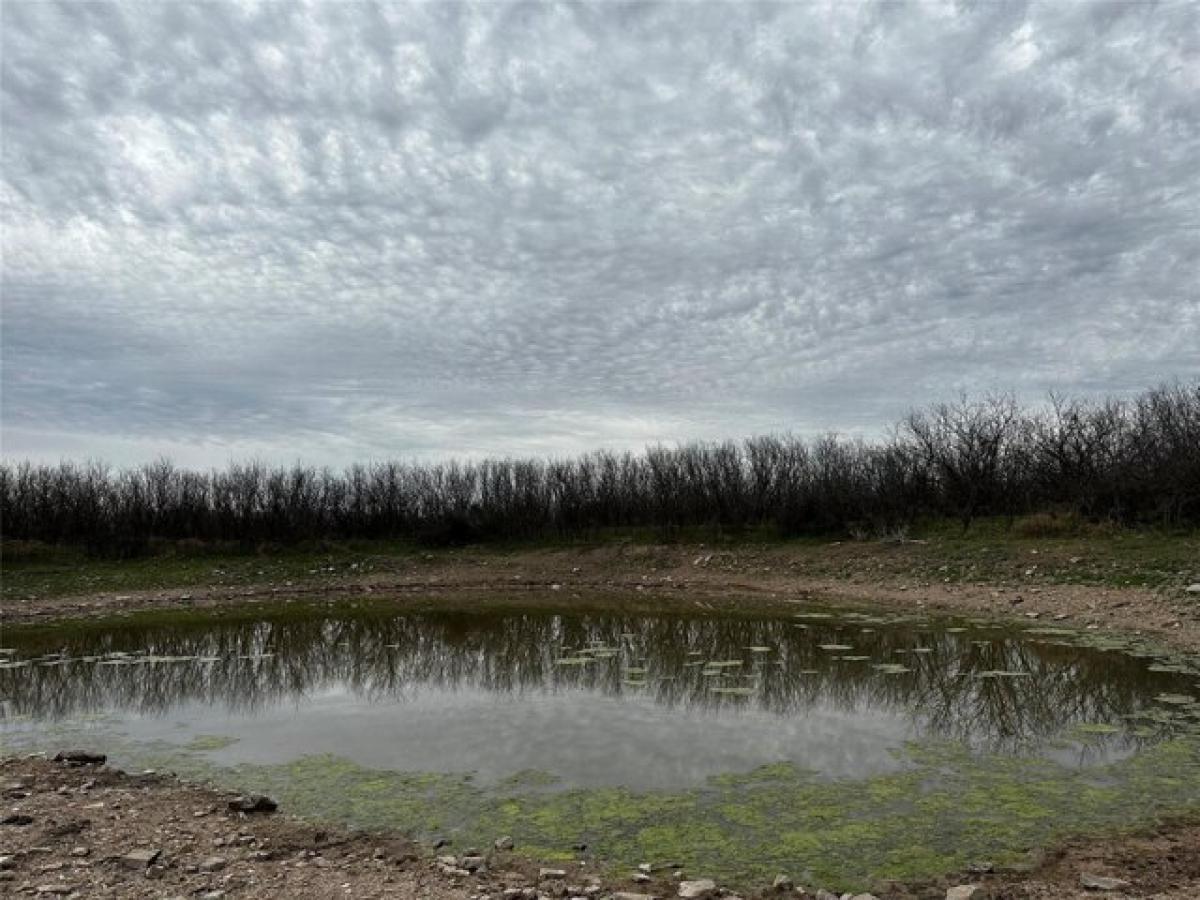 Picture of Residential Land For Sale in Abilene, Texas, United States