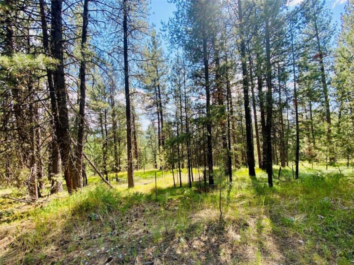 Picture of Residential Land For Sale in Marion, Montana, United States