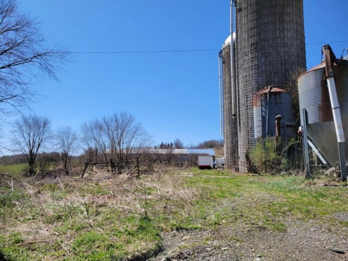 Picture of Residential Land For Sale in Norwich, New York, United States