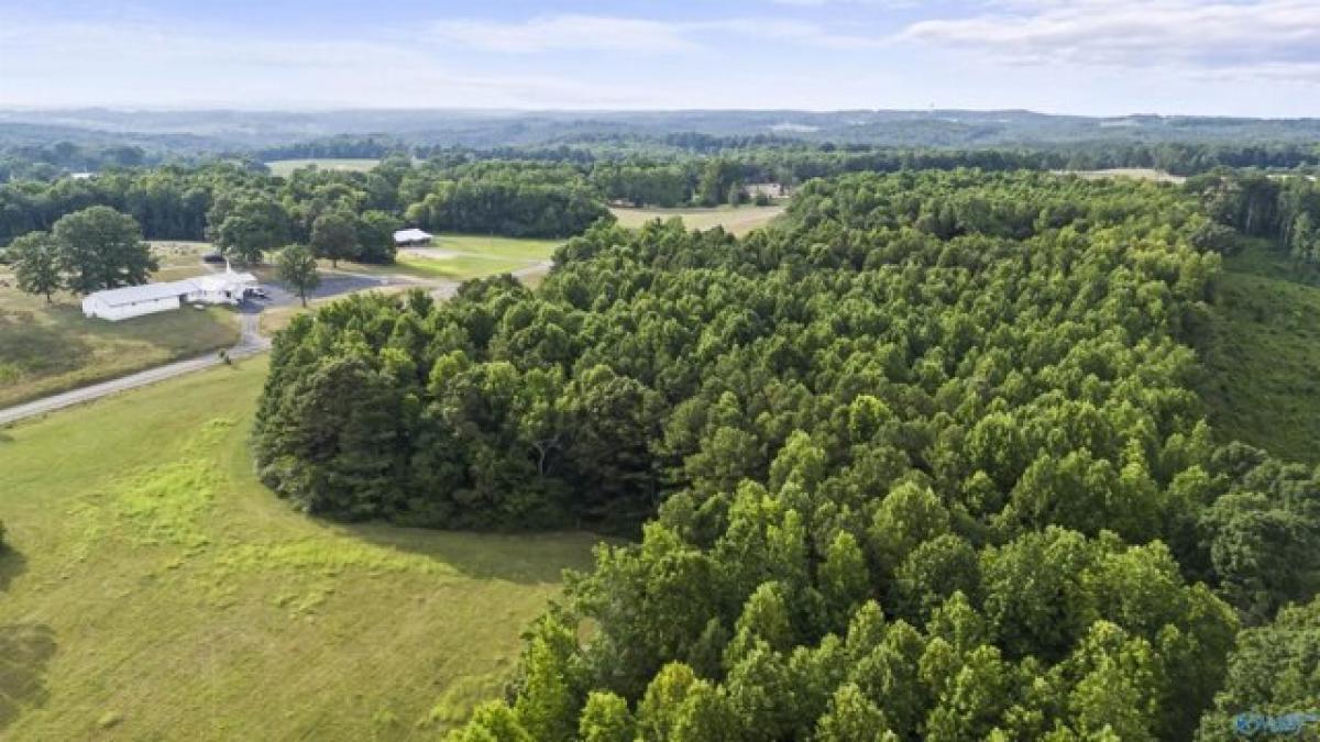 Picture of Residential Land For Sale in Vinemont, Alabama, United States