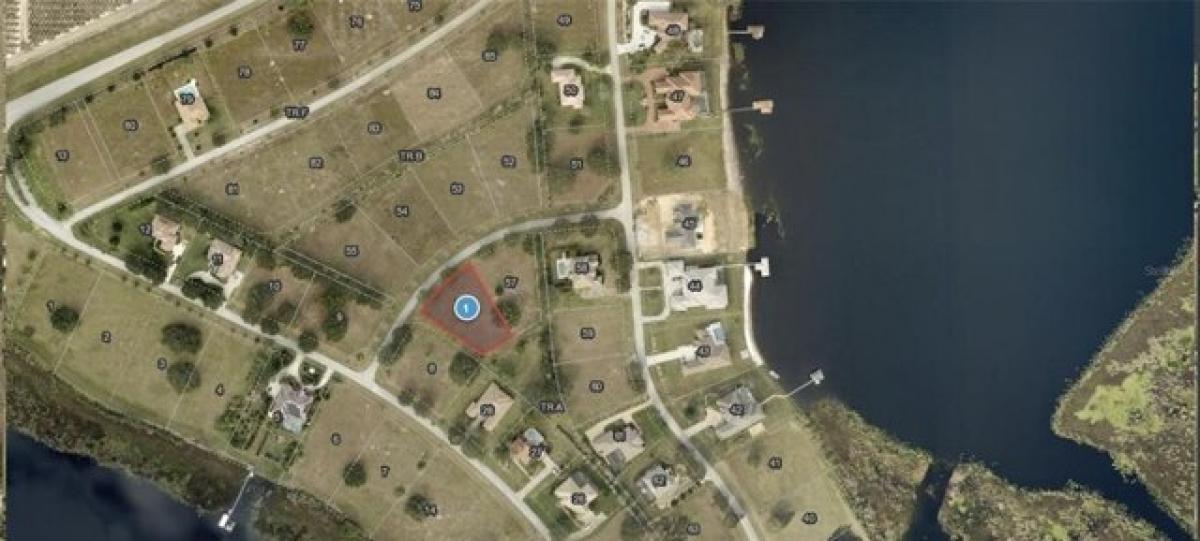 Picture of Residential Land For Sale in Groveland, Florida, United States