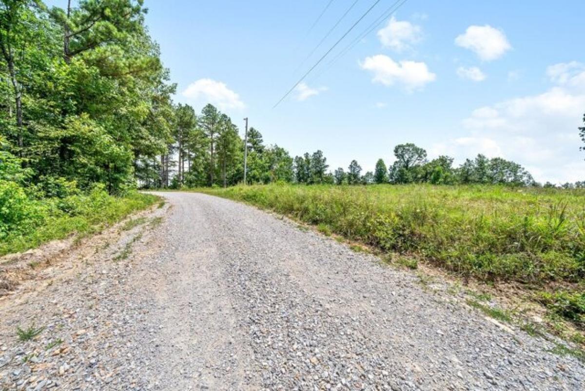 Picture of Residential Land For Sale in Stewart, Tennessee, United States