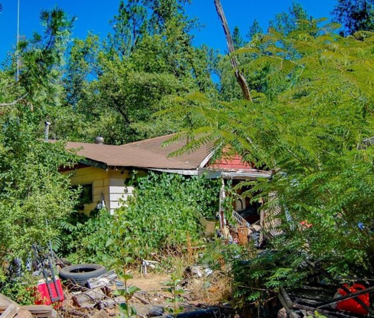 Picture of Home For Sale in Wilseyville, California, United States