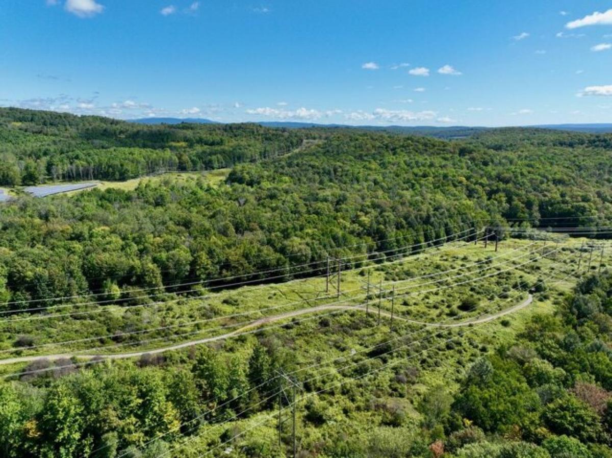 Picture of Residential Land For Sale in Liberty, New York, United States