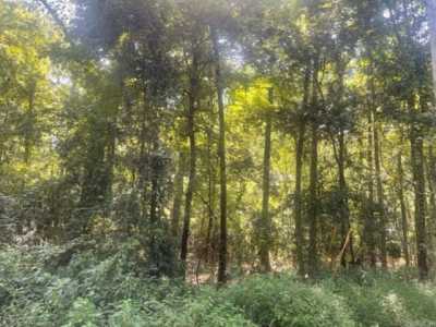 Residential Land For Sale in Cabot, Arkansas